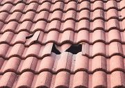 Roof tile replacement Branxton